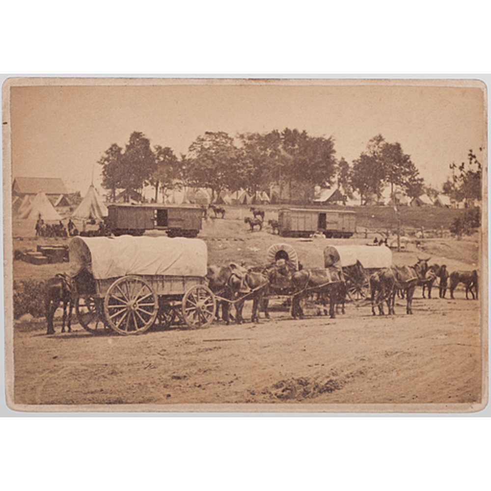 Cowan s Auction House The Midwest s Most Trusted Auction House 