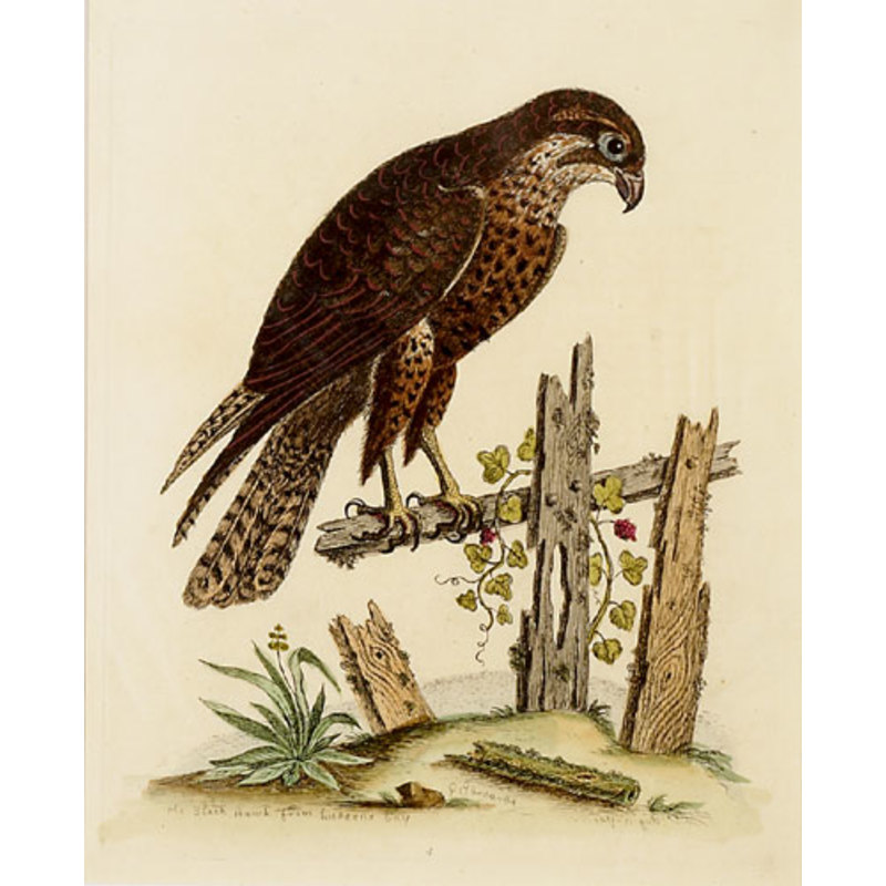 Source: Cowan's Auctions, Inc. Image