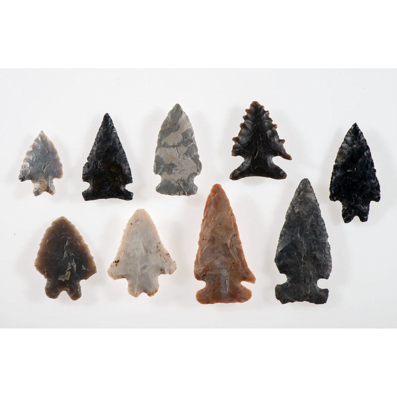 A Group of Archaic Points, Longest 2-1/4 in.