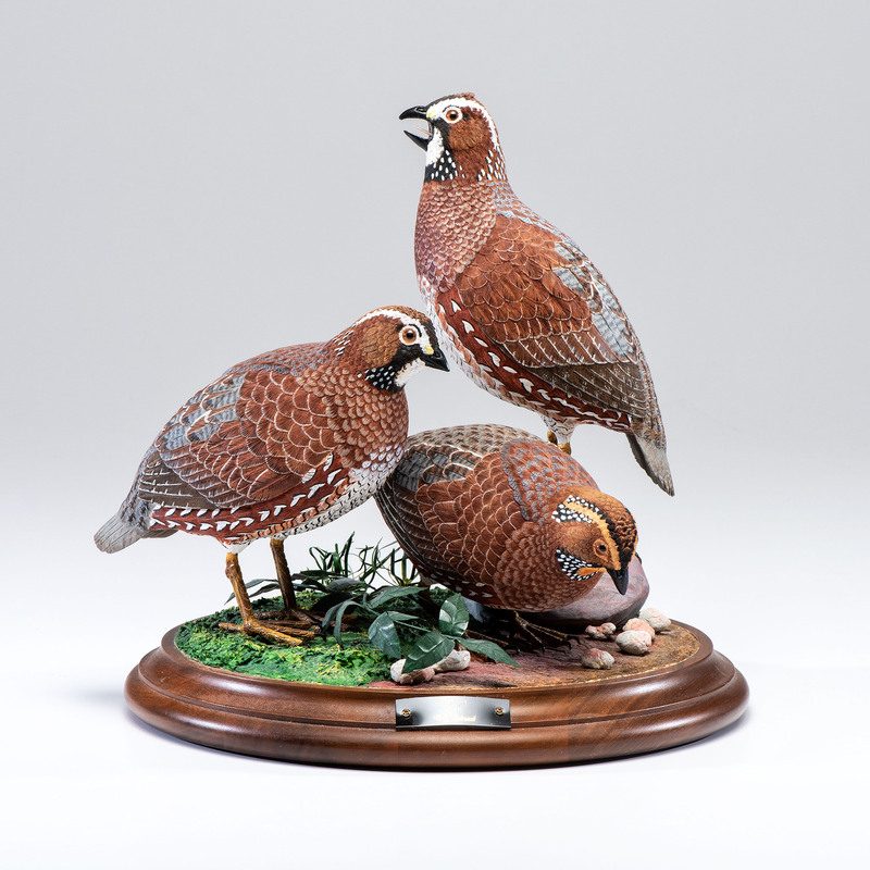A Trio of Carved Wood Bobwhite Quails by Ronald G. Schessl