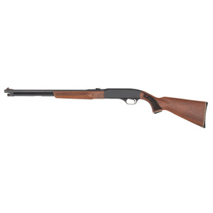 * Winchester Model 290